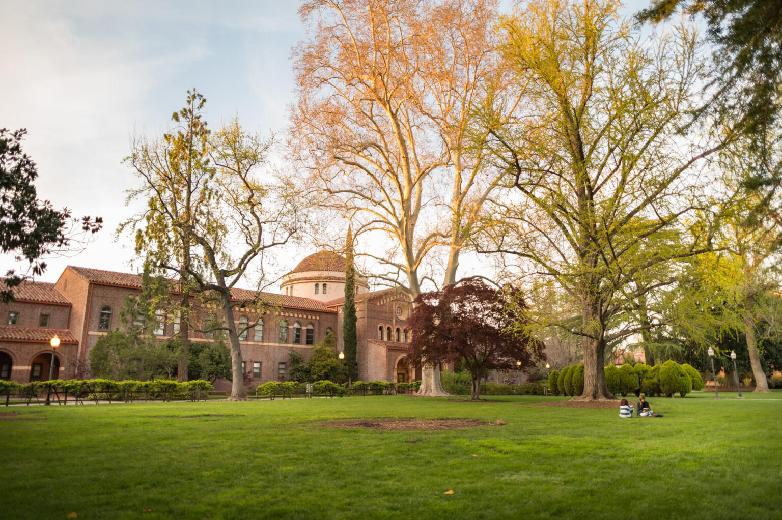 California State University, Chico - Calsense | Calsense